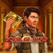 Try Book of Dead slot by Play'n GO on 500casino-ie.com – logo image